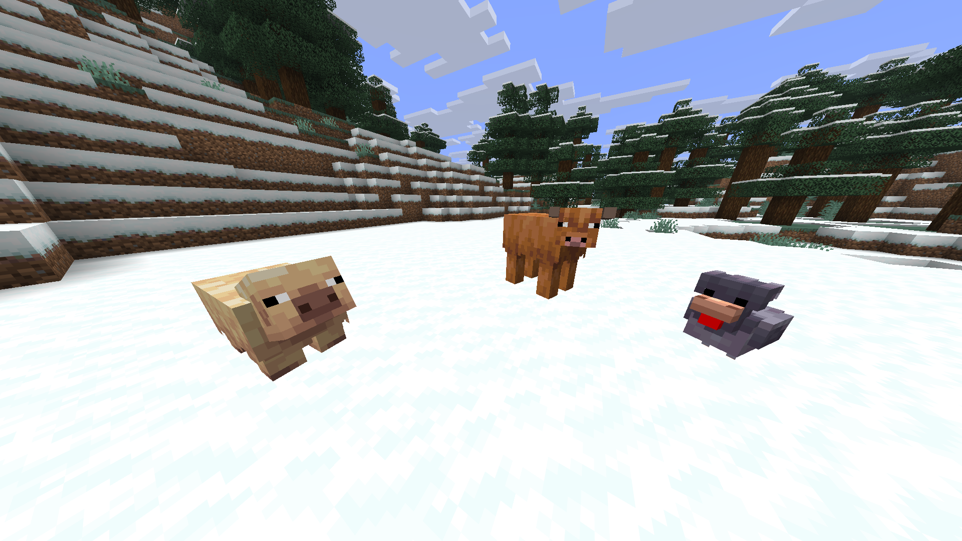 Variantes froides des animaux