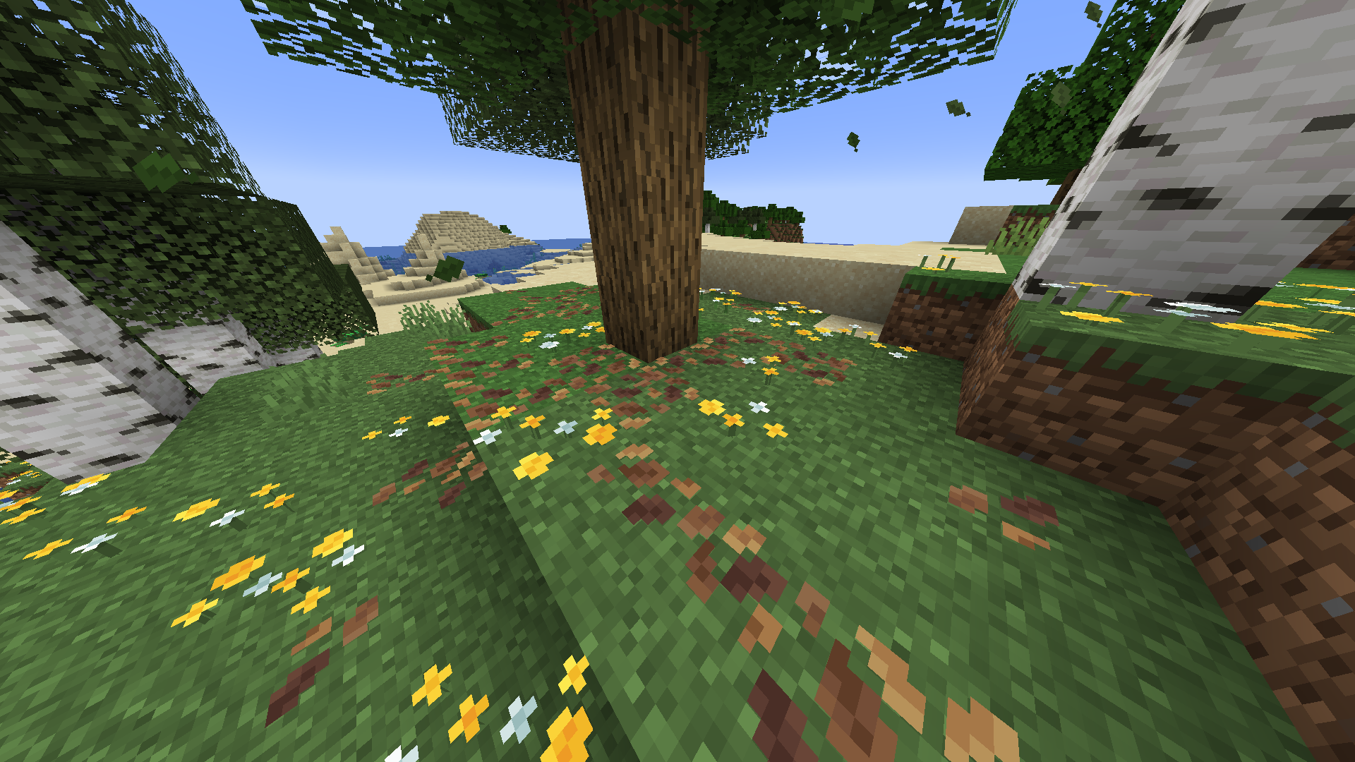 Feuilles mortes et fleurs sauvages