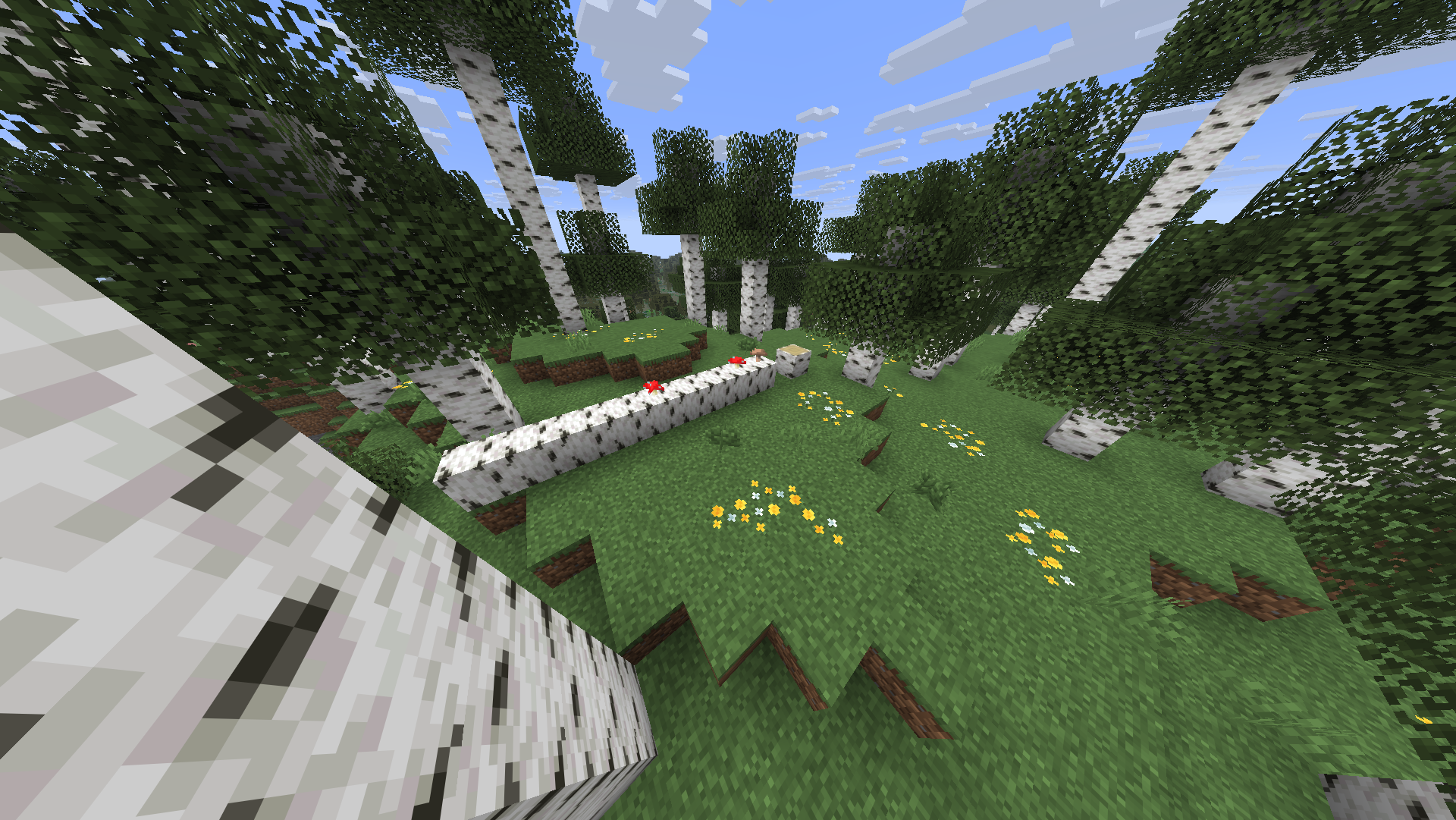 Fleurs sauvages