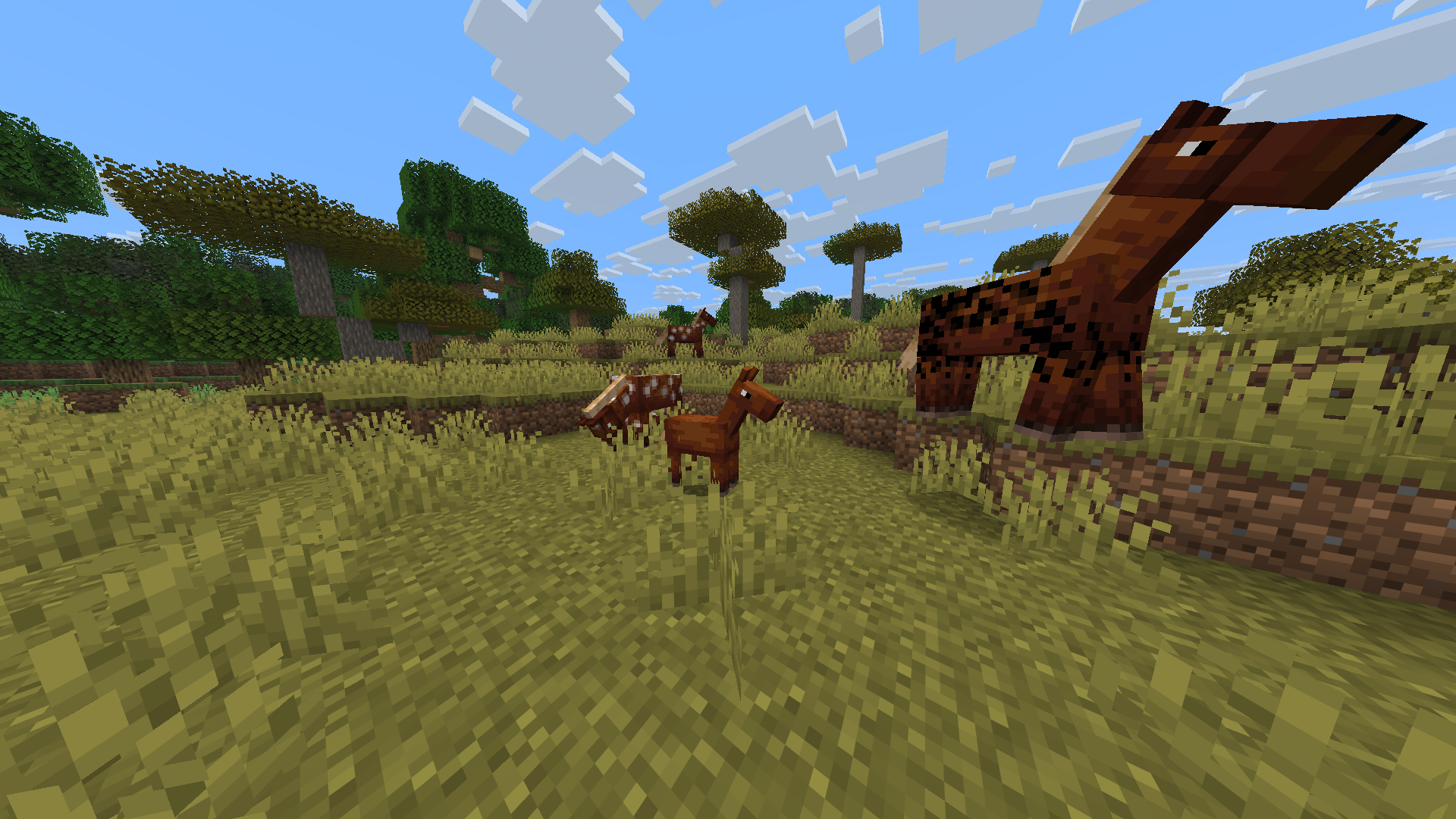Cheval