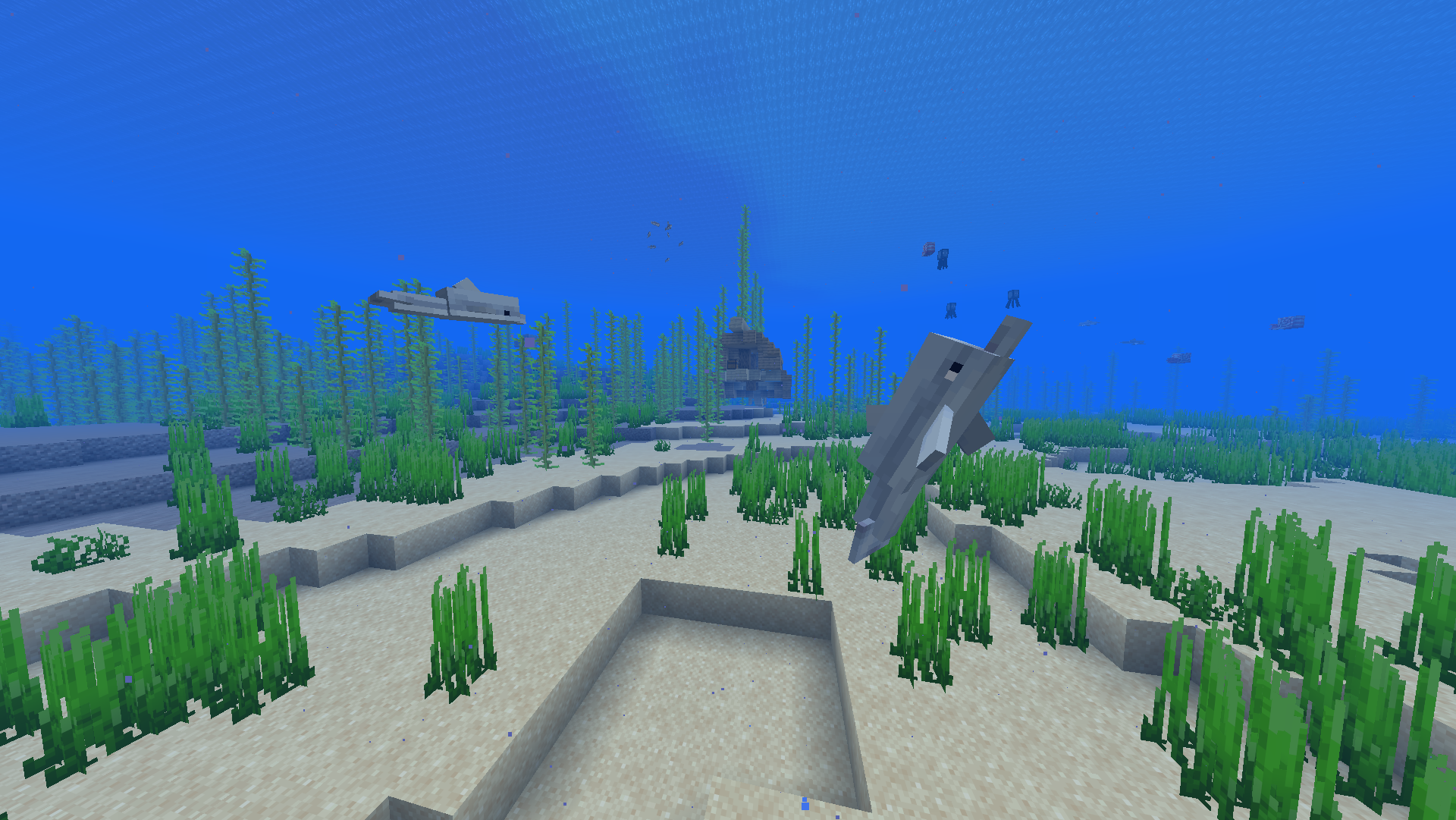 Dauphins