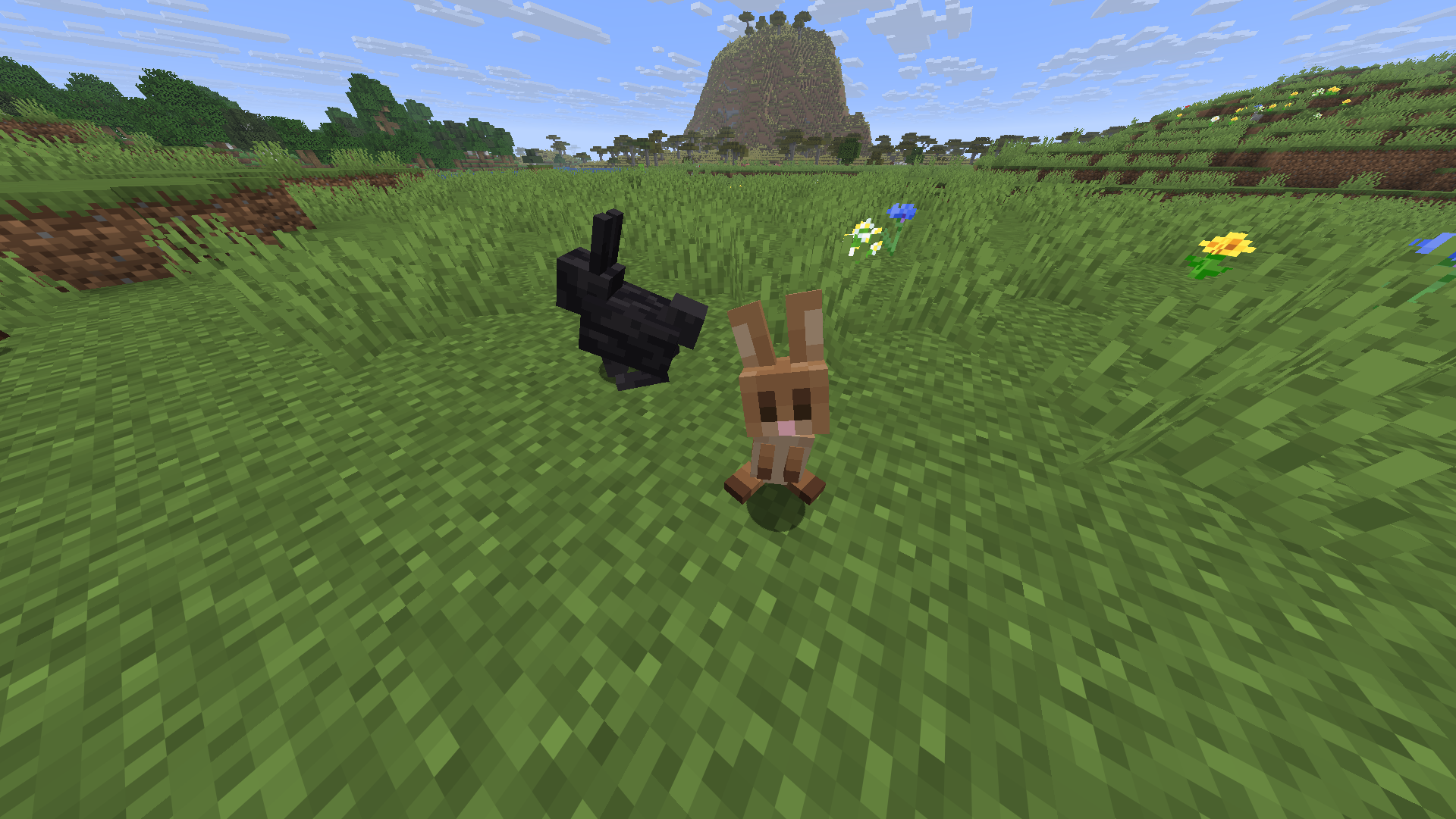 Lapins