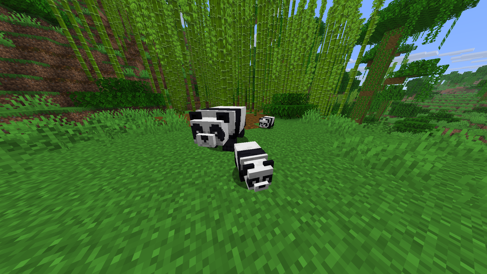 Pandas