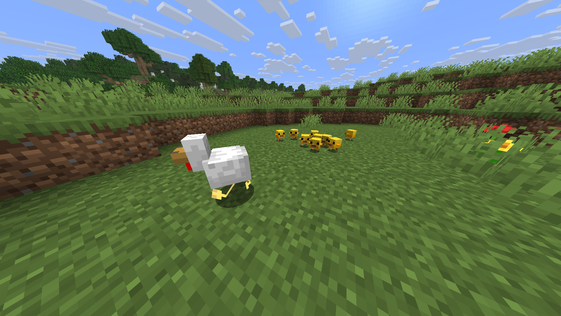 Poussins