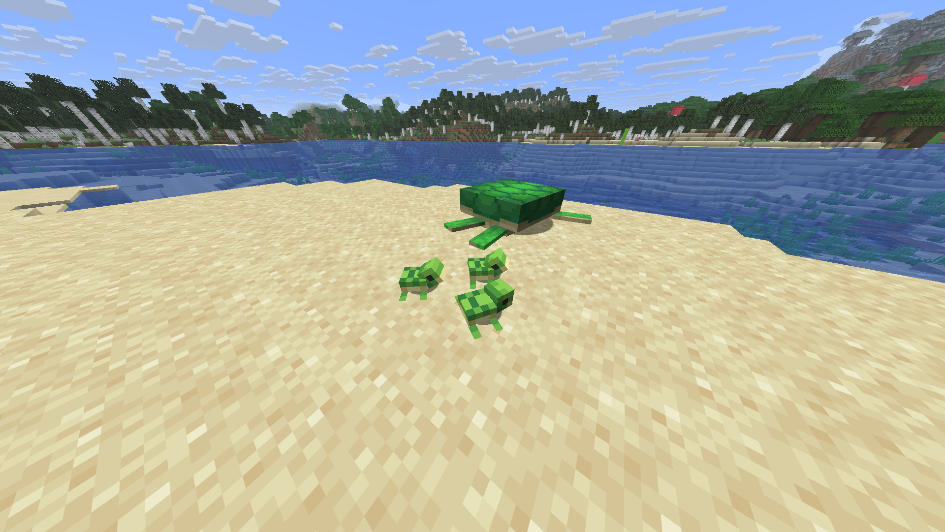 Tortues